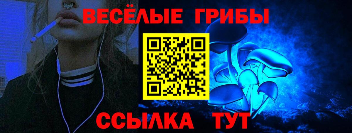 Галлюциногенные грибы GOLDEN TEACHER Миасс