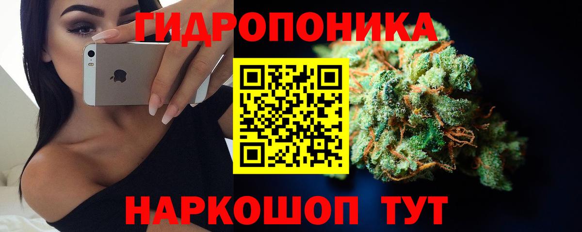 Каннабис конопля Миасс